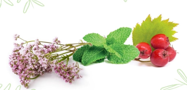 Valerian Hawthorn Peppermint - Image 2